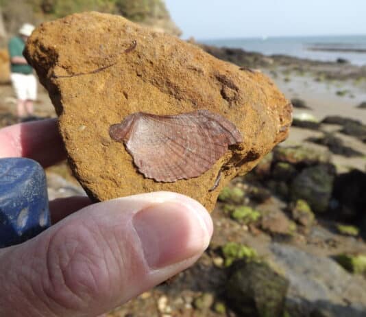 Rocking Around: Weymouth