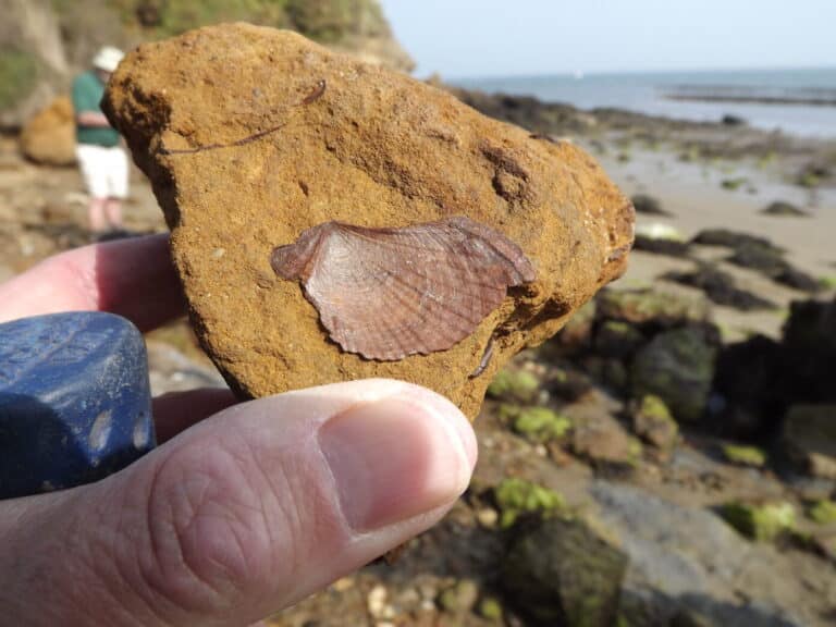 Rocking Around: Weymouth