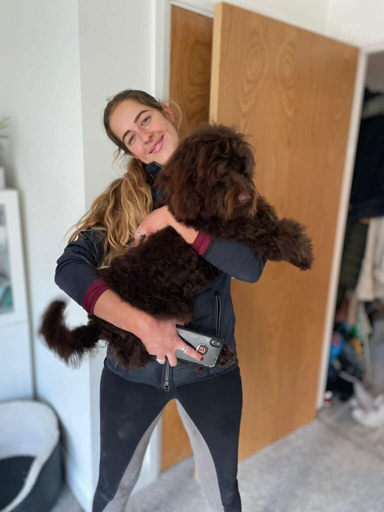 The Adventures of Paddington