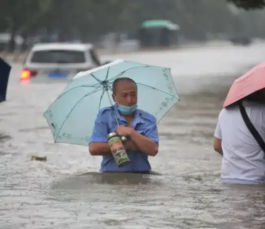 What do climate change and COVID have in common? Devastation and Kerching!