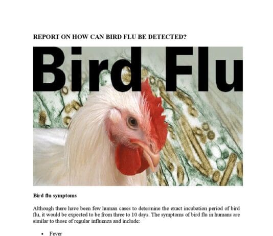 Bird flu discovered in a person in South West England, UKHSA confirms