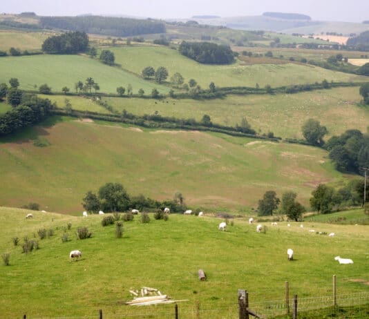 The public used to own the Common land now the establishment are criminalising us all