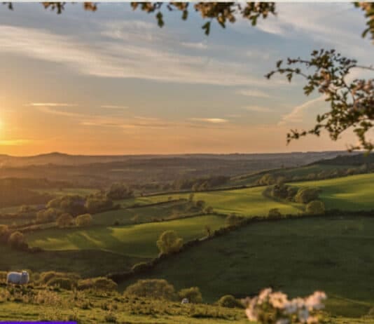 Activate seeking local people for amazing outdoor art project