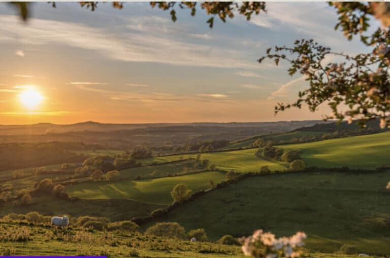 Activate seeking local people for amazing outdoor art project