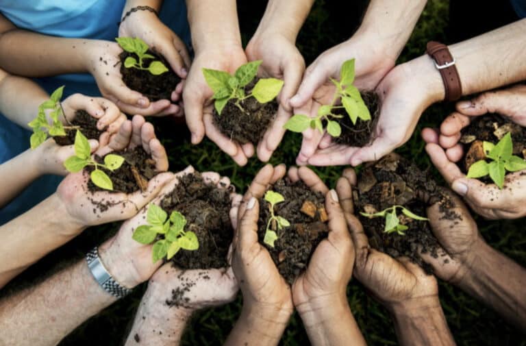 Volunteers wanted to help plant trees in Littlemoor