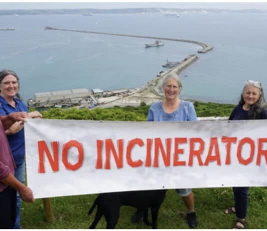 Jurassic Coast Against Incineration Project Needs You