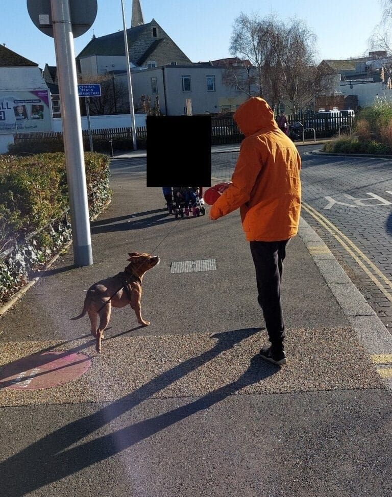 Appeal following assault in Poole