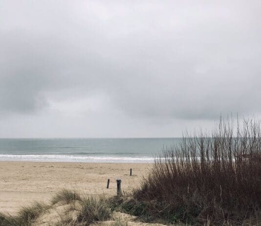 Poole’s historic sand dunes in new BBC film