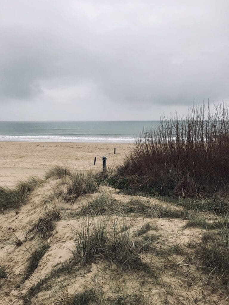 Poole’s historic sand dunes in new BBC film