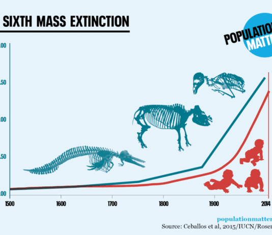 The Sixth Mass Extinction is Coming and We Are Being Lied To