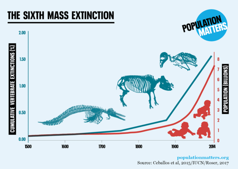 The Sixth Mass Extinction is Coming and We Are Being Lied To