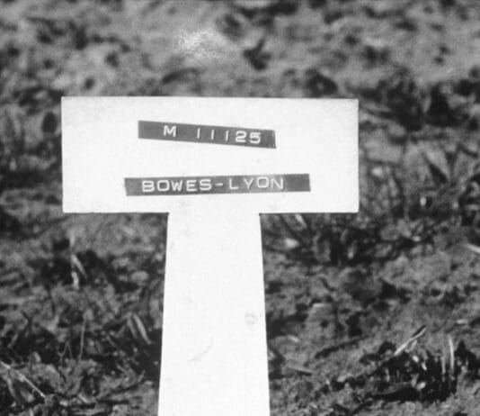 “What are you for?!”