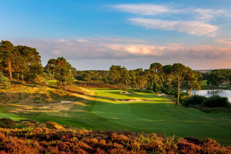 Parkstone Golf Club agree to ten replacement trees following tree preservation order breach