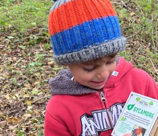 Explore Weymouth’s parks and gardens this Easter