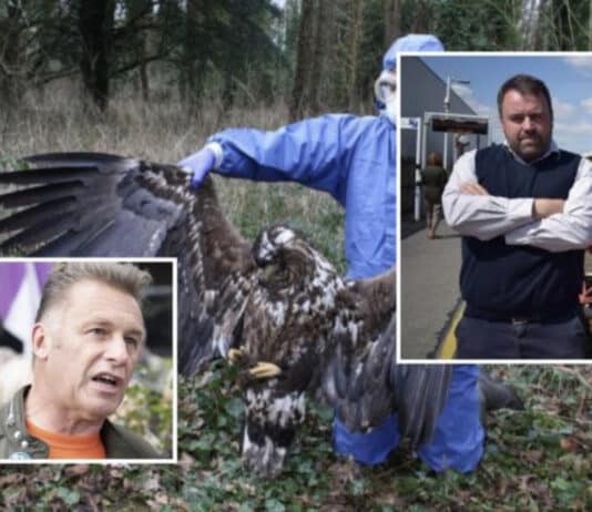 Dorset police, the Police Crime Commissioner and Chris Loder MP: What are you hiding?