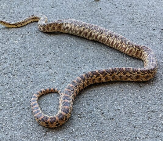 Someone’s had a nasty shock in Sherborne