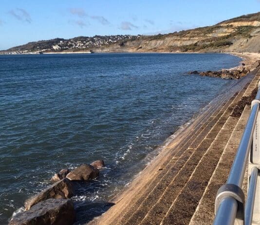 Greens win Lyme and Charmouth By Election but Gories still out in front on Dorset council