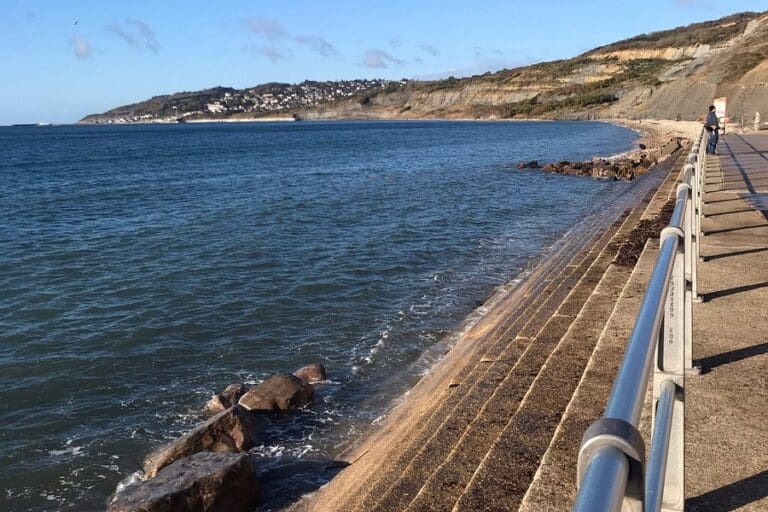 Greens win Lyme and Charmouth By Election but Gories still out in front on Dorset council