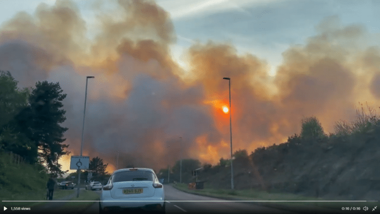 Heath fire being treated as suspected arson