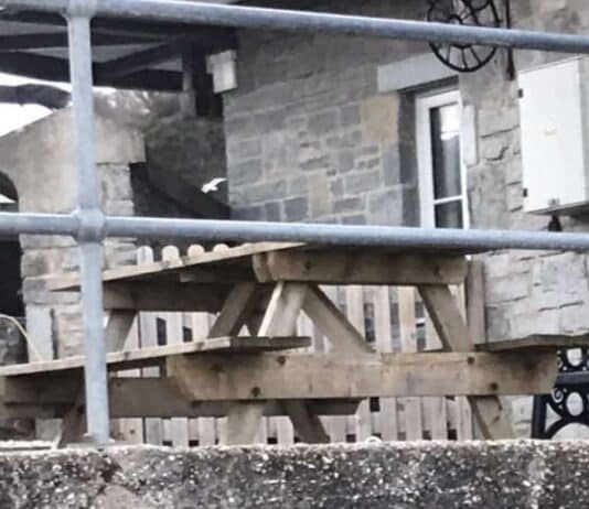 Suspicious incident in Lyme Regis