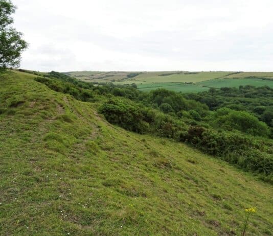 Rocking Around Poxwell Pericline