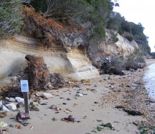 Rocking Around Poole Harbour and Brownsea Island