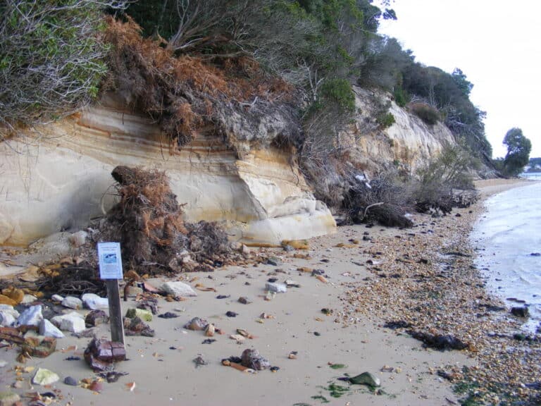 Rocking Around Poole Harbour and Brownsea Island