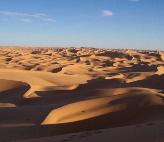 200,000 + people have left the Labour Party. Here is why