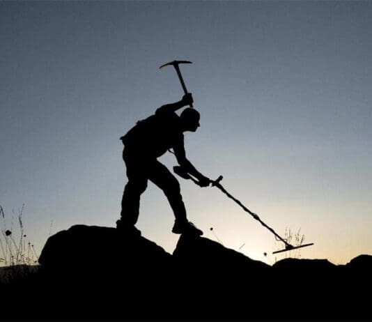 ‘Nighthawkers’ cause criminal damage to farmland near Dorchester