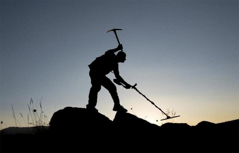 ‘Nighthawkers’ cause criminal damage to farmland near Dorchester