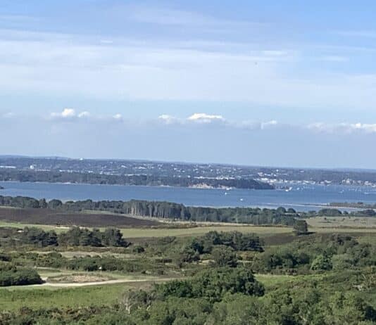 Poole Harbour Update