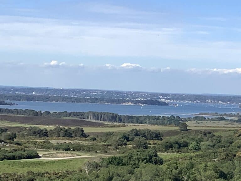 Poole Harbour Update