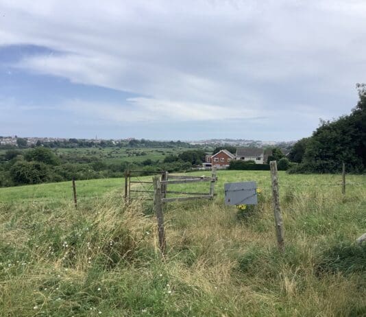 Tumbledown in Weymouth receives grants worth £100,000