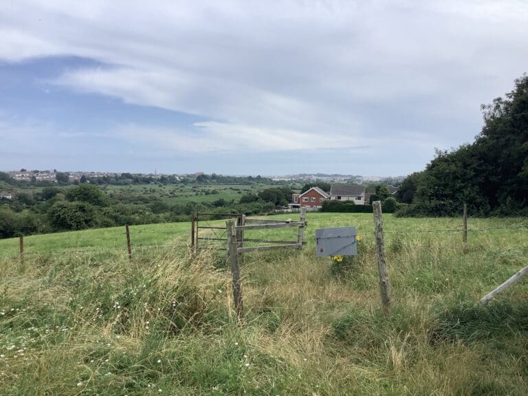 Tumbledown in Weymouth receives grants worth £100,000