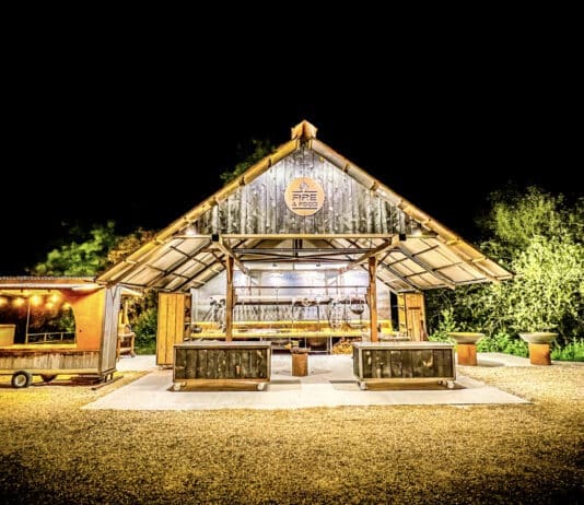 Dorset sculpture park launches summer of LIVE music eventsÂ