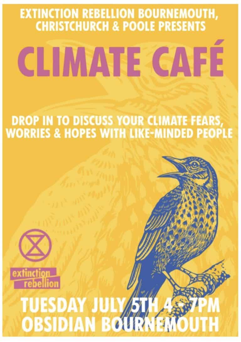 BOURNEMOUTH’S NEW CLIMATE CAFE COULD BE JUST THE THING TO BANISH THE BLUES