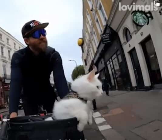 Possibly the cutest thing you will see today