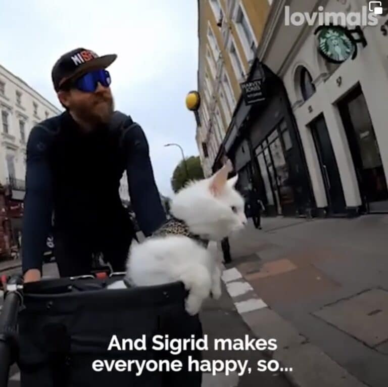 Possibly the cutest thing you will see today