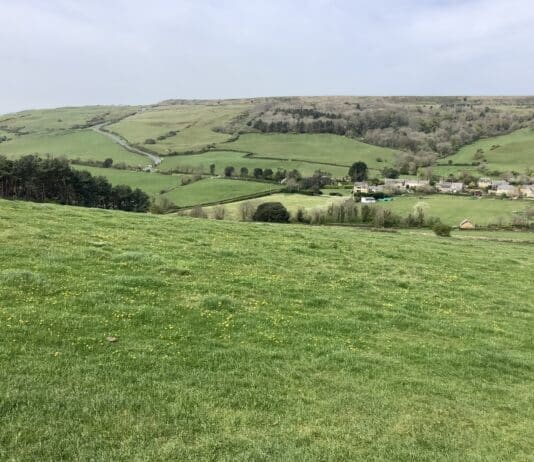 Discovering Dorset (2): Where are we?