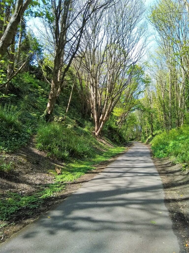 Portland woman assaulted on Rodwell Trail