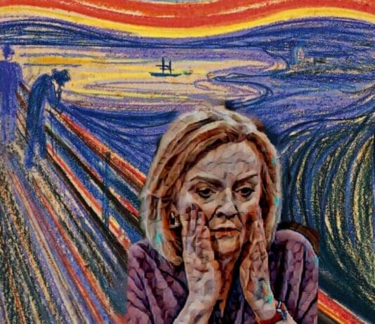 If this can happen to Kate McCann imagine what they could do to the country