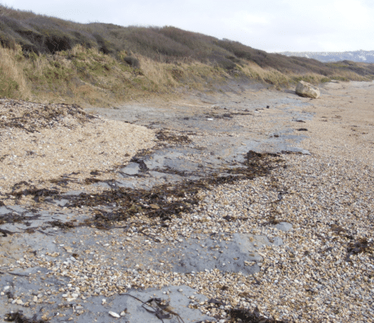 Rocking Around Ringstead Bay
