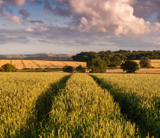 The Farmer’s Inheritance Scandal Is Bullsh**. Or Is It?