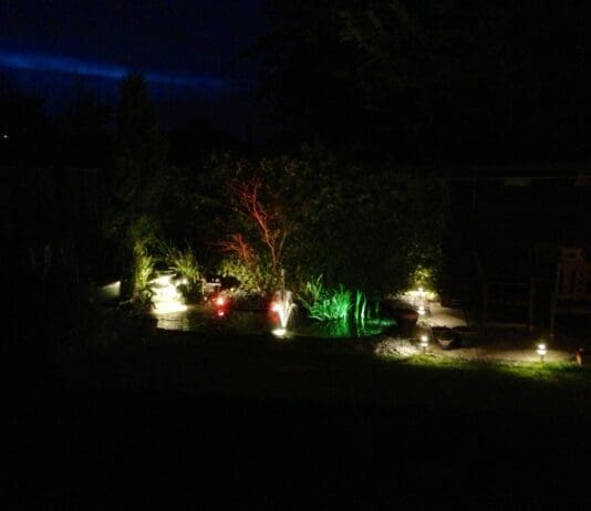 Dorset man spent years believing he was about to be burgled. It turned out to be…