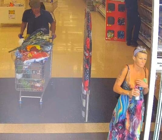 Serial shoplifting in Blandford