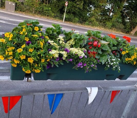 Town’s floral display goes a bit weedy