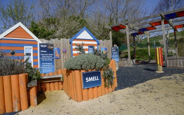 Police provide update as man with gun reported near Bincombe Valley Primary School