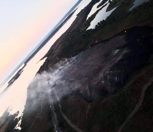 Devastation at Studland Should Have Been Avoided