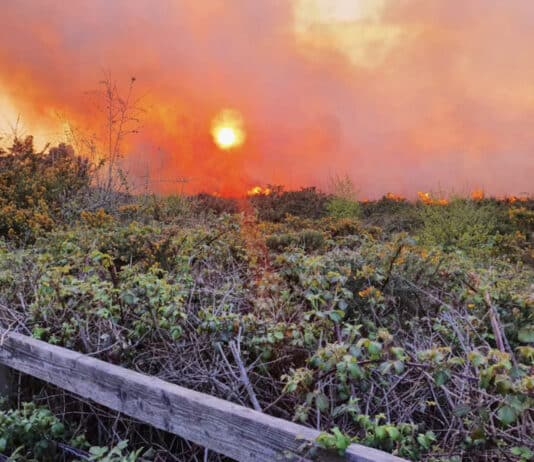 ????Red fire severity alert for Dorset & Wiltshire????