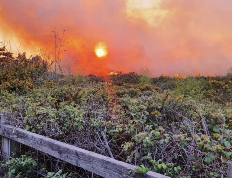 ????Red fire severity alert for Dorset & Wiltshire????